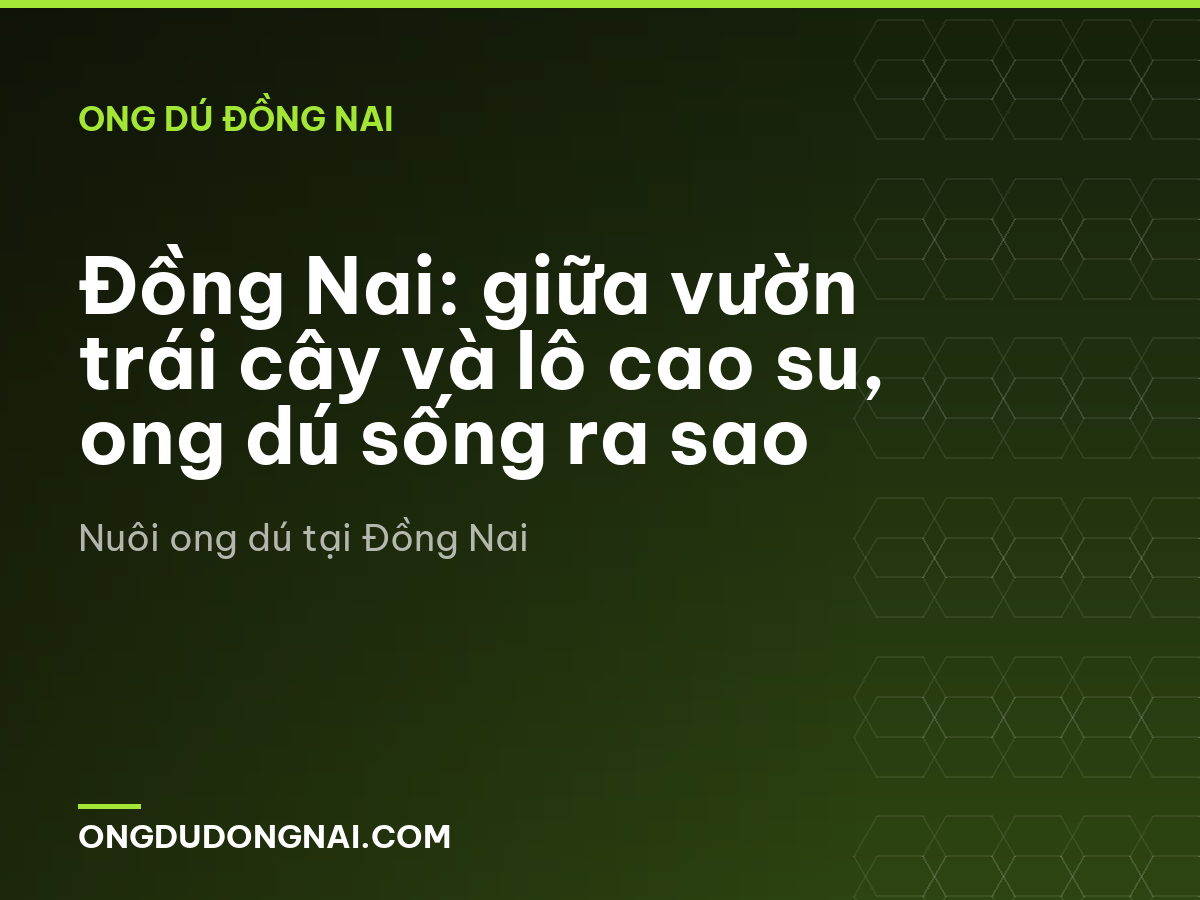 Đồng Nai: giữa vườn trái cây và lô cao su, ong dú sống ra sao