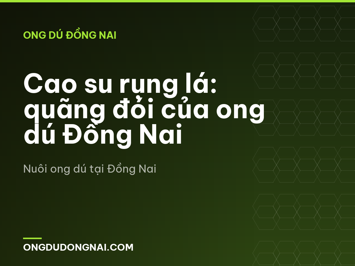 Cao su rụng lá: quãng đói của ong dú Đồng Nai
