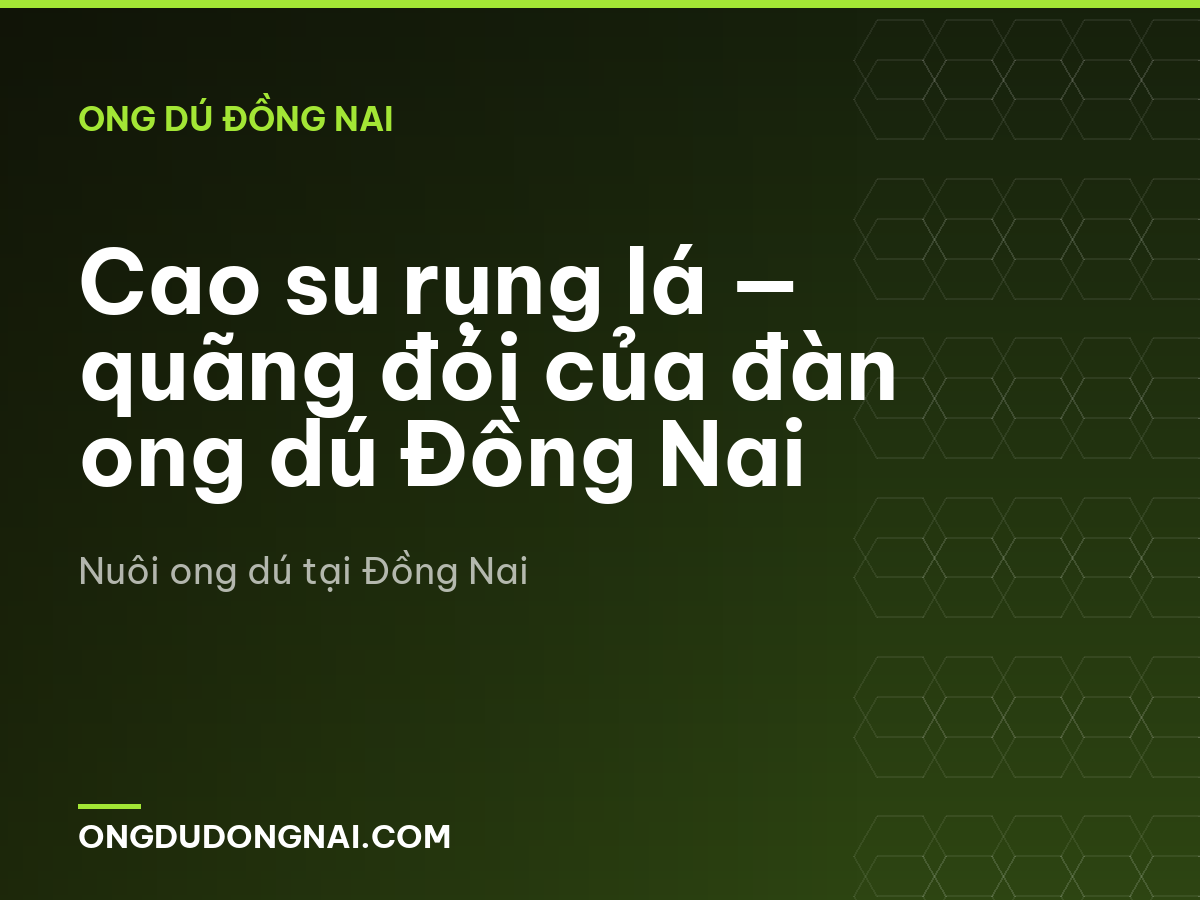 Cao su rụng lá — quãng đói của đàn ong dú Đồng Nai