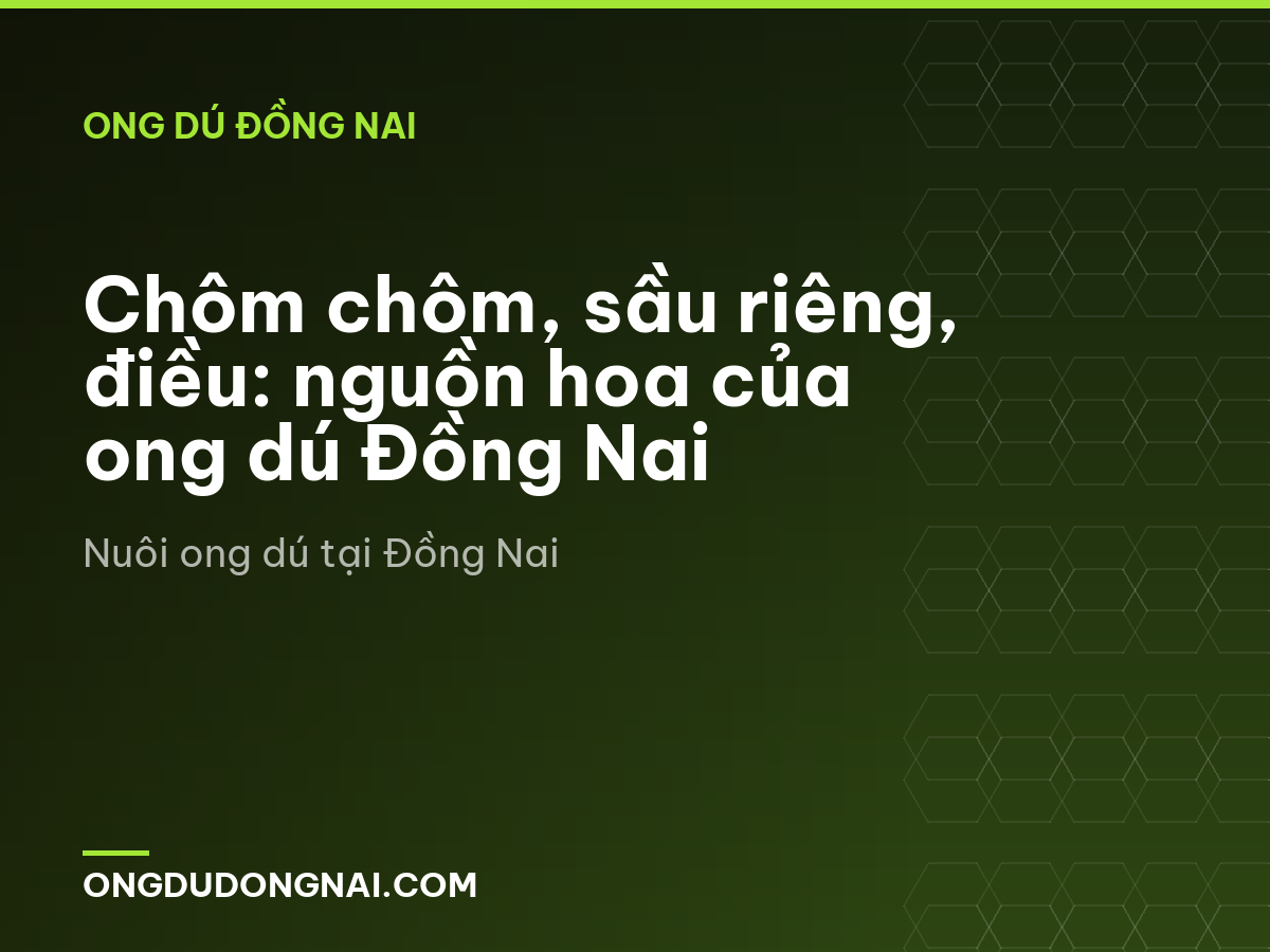 Chôm chôm, sầu riêng, điều: nguồn hoa của ong dú Đồng Nai