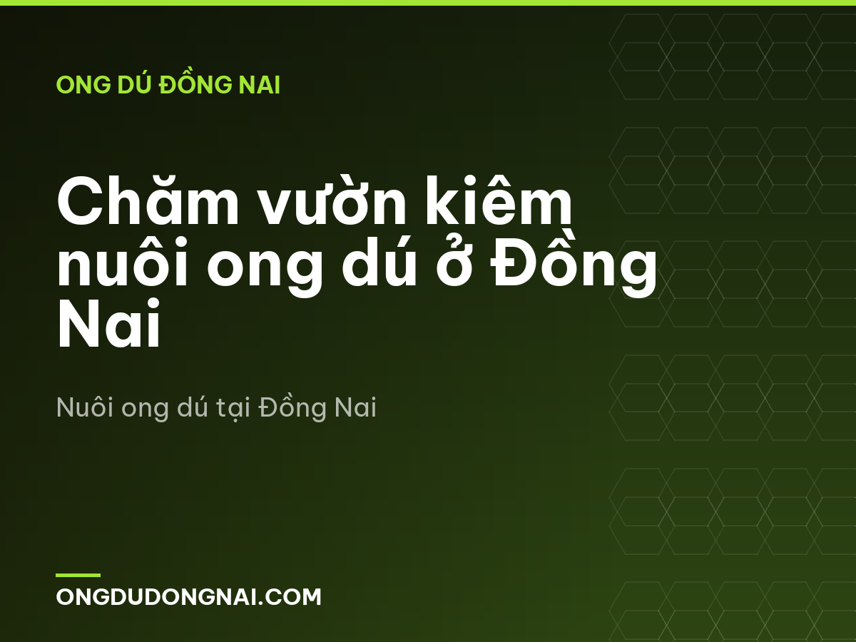 Chăm vườn kiêm nuôi ong dú ở Đồng Nai