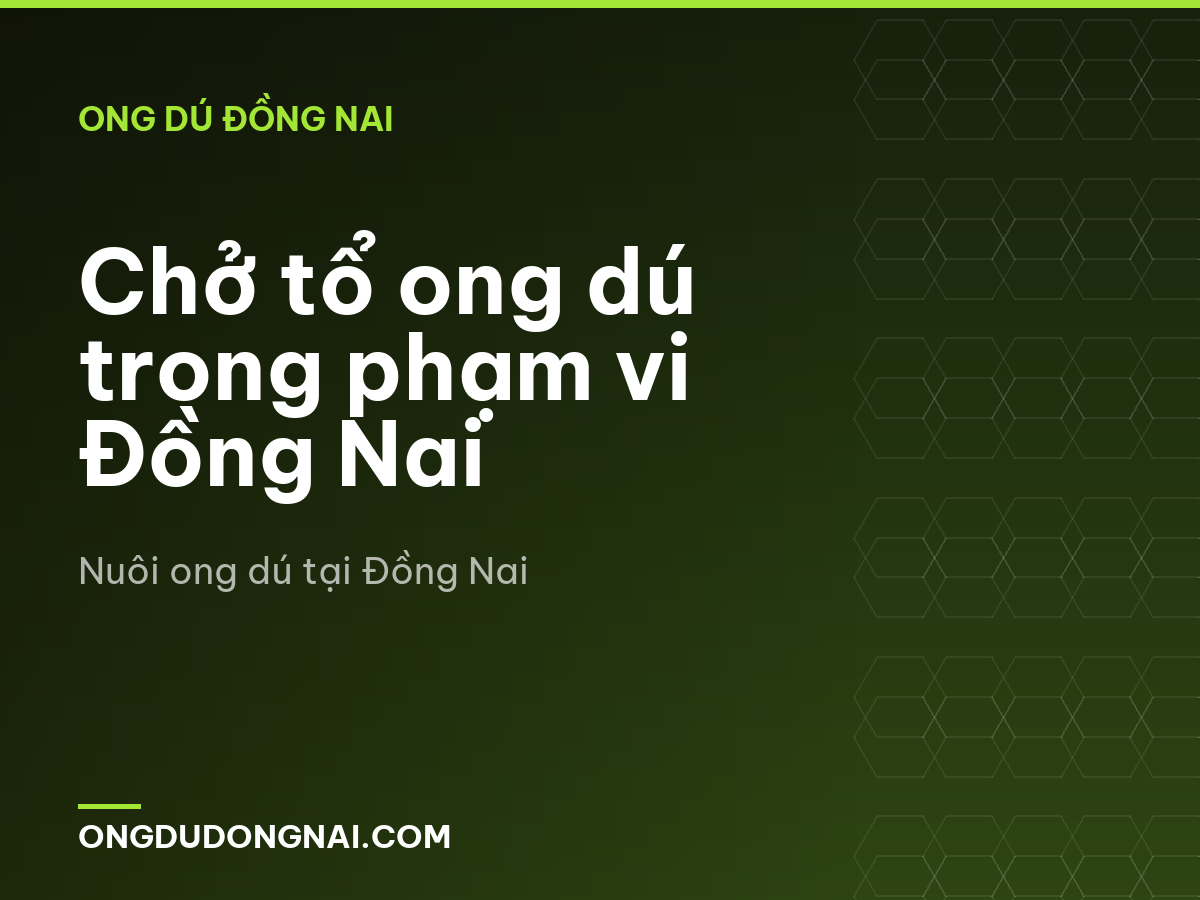 Chở tổ ong dú trong phạm vi Đồng Nai