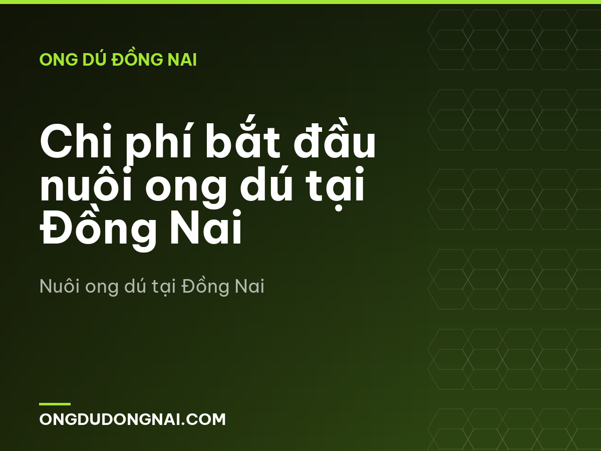 Chi phí bắt đầu nuôi ong dú tại Đồng Nai