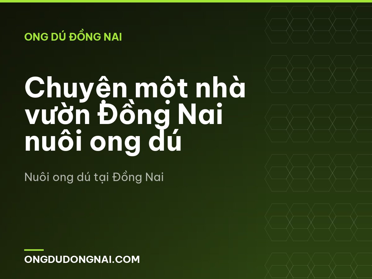 Chuyện một nhà vườn Đồng Nai nuôi ong dú