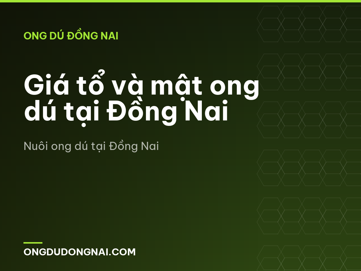 Giá tổ và mật ong dú tại Đồng Nai