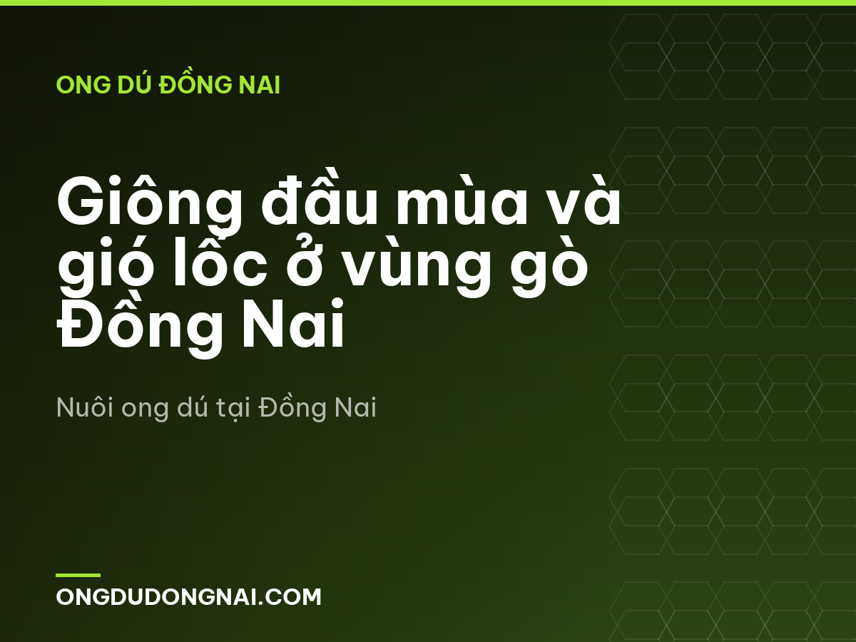 Giông đầu mùa và gió lốc ở vùng gò Đồng Nai