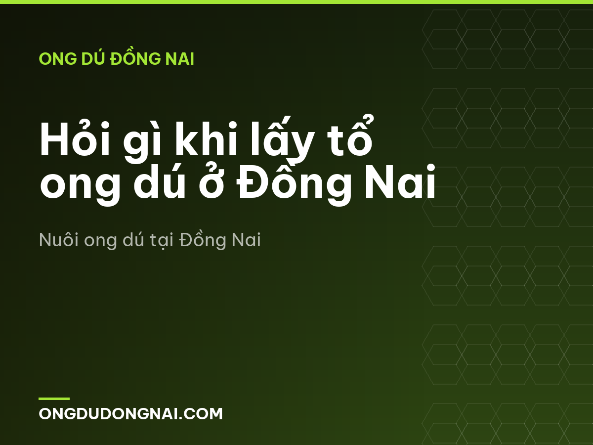 Hỏi gì khi lấy tổ ong dú ở Đồng Nai