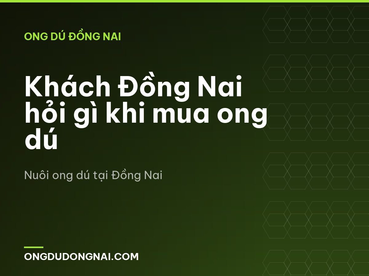 Khách Đồng Nai hỏi gì khi mua ong dú