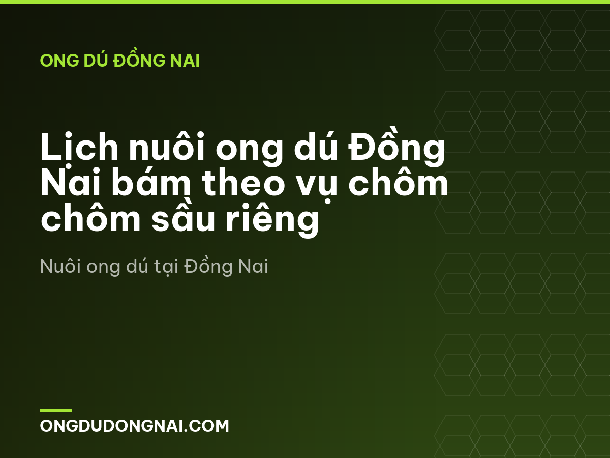 Lịch nuôi ong dú Đồng Nai bám theo vụ chôm chôm sầu riêng