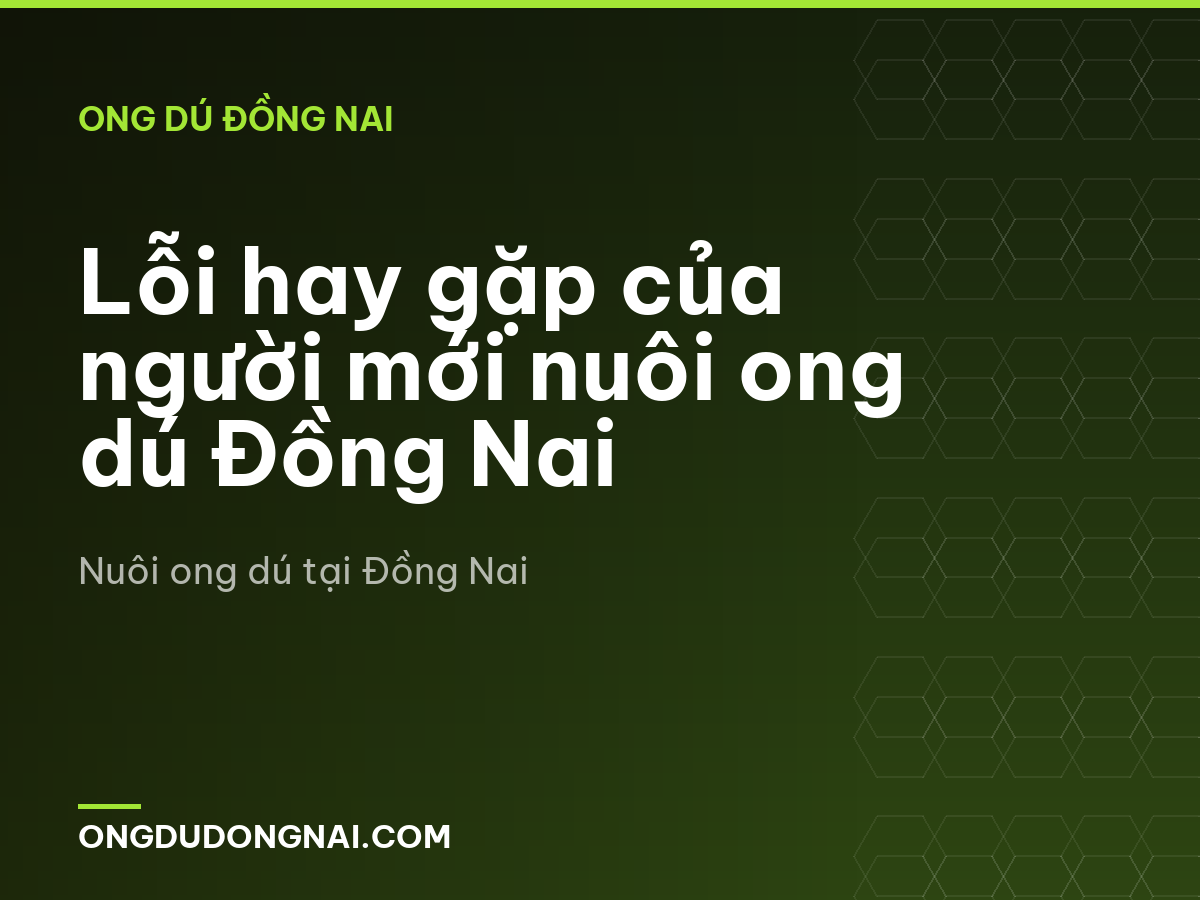 Lỗi hay gặp của người mới nuôi ong dú Đồng Nai