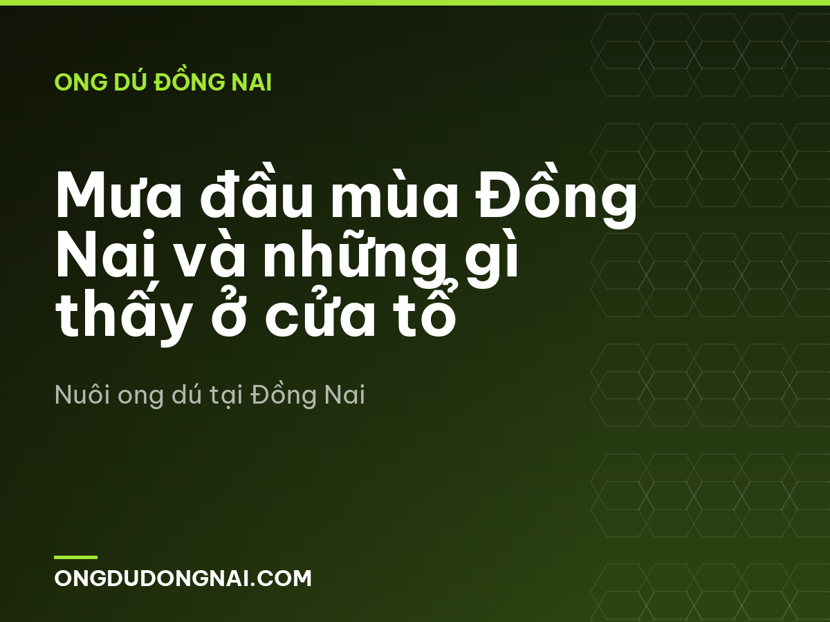 Mưa đầu mùa Đồng Nai và những gì thấy ở cửa tổ