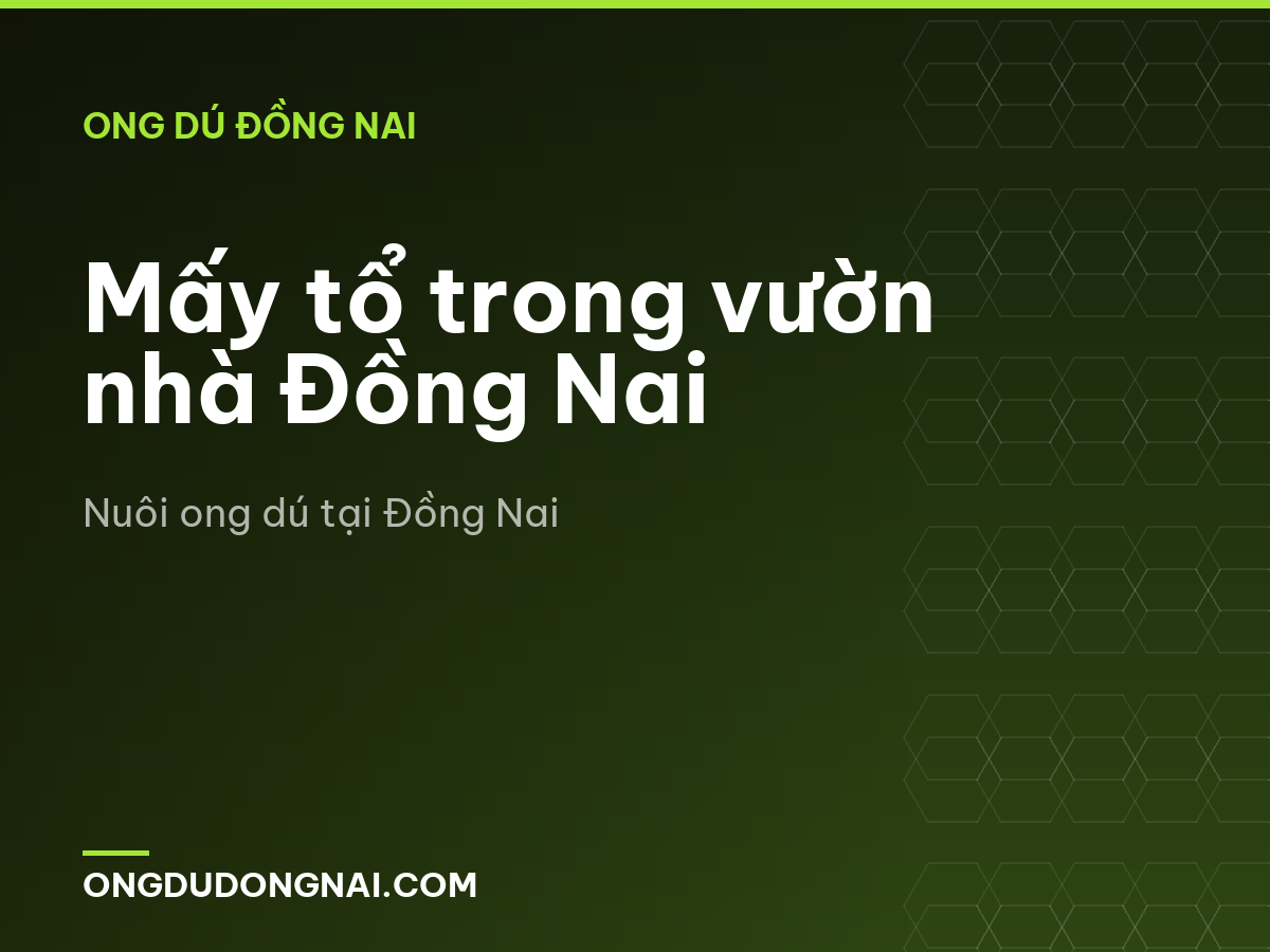 Mấy tổ trong vườn nhà Đồng Nai