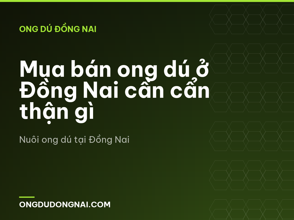 Mua bán ong dú ở Đồng Nai cần cẩn thận gì