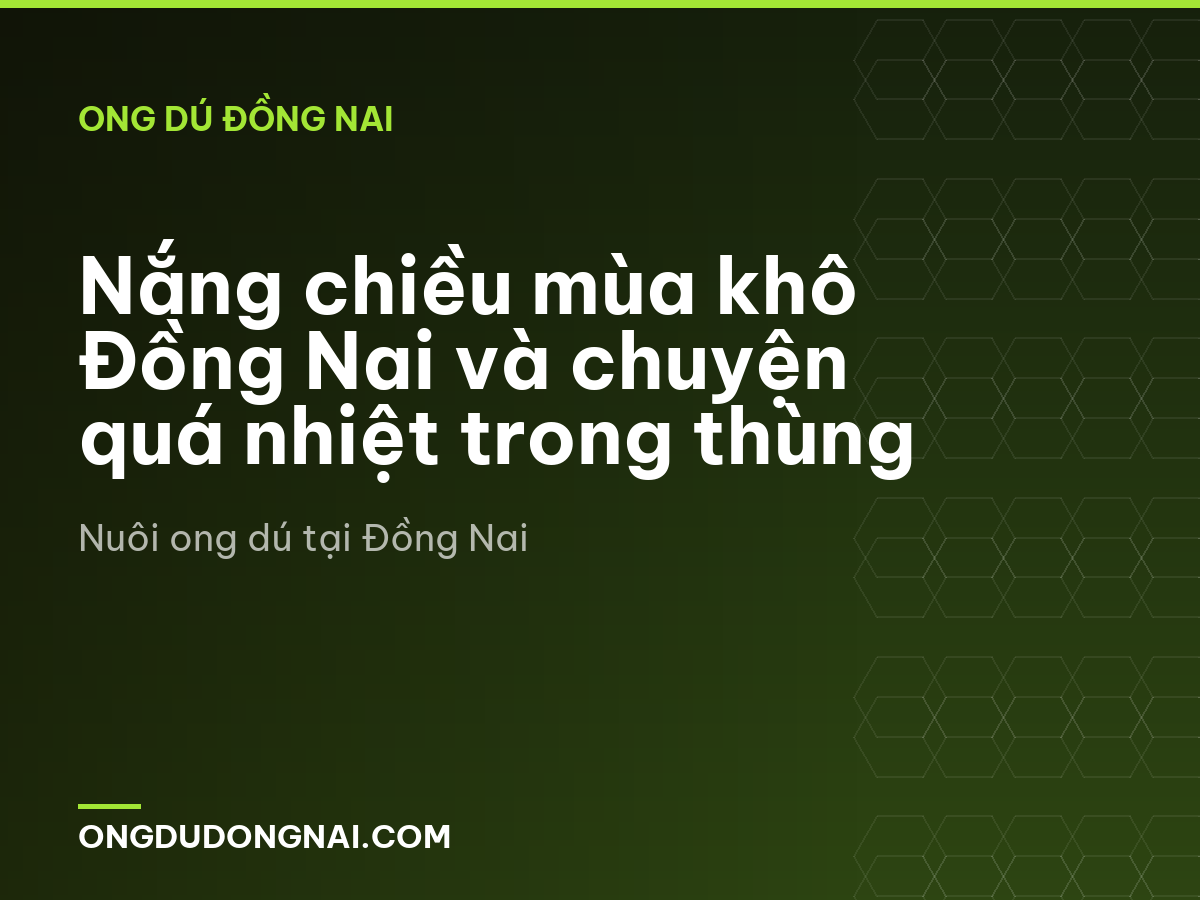 Nắng chiều mùa khô Đồng Nai và chuyện quá nhiệt trong thùng