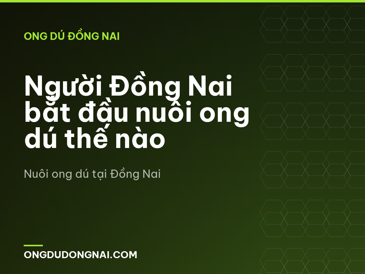 Người Đồng Nai bắt đầu nuôi ong dú thế nào