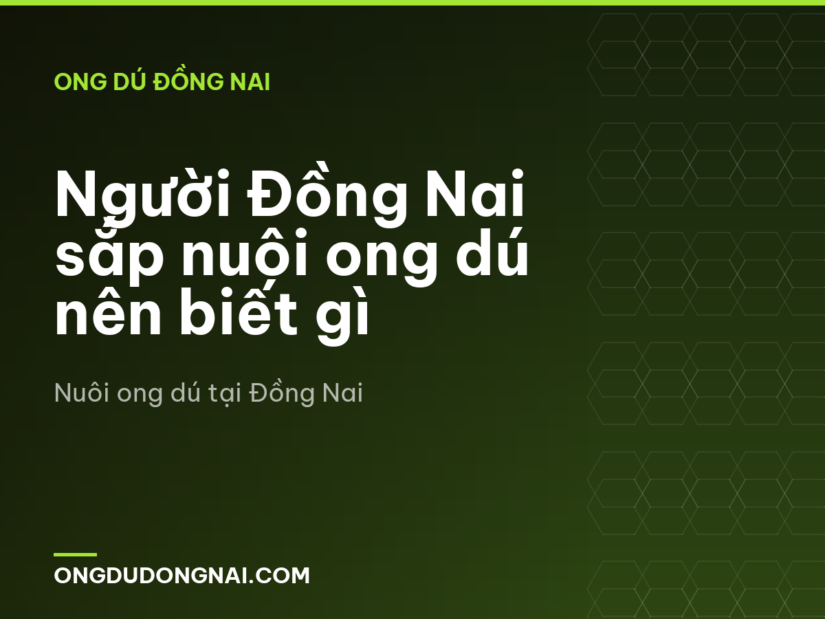 Người Đồng Nai sắp nuôi ong dú nên biết gì