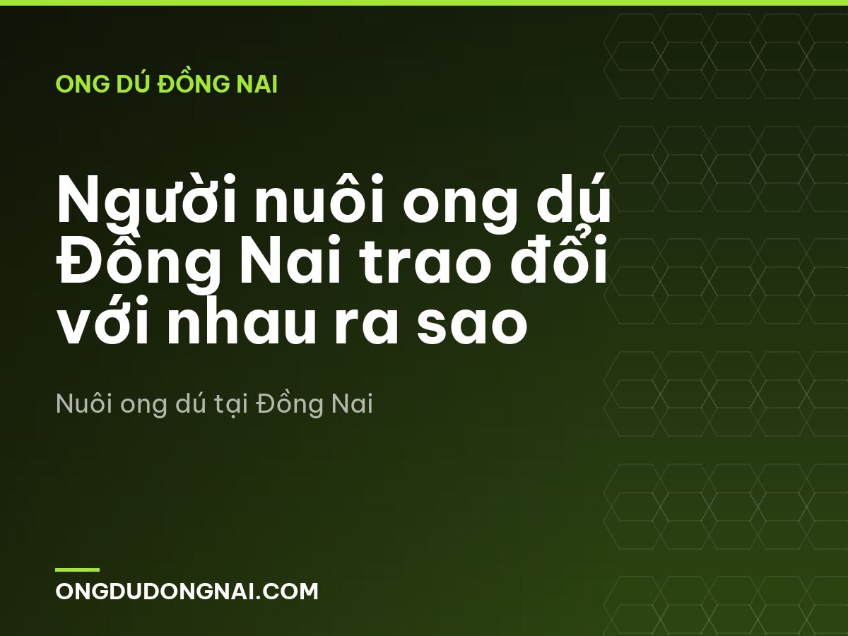 Người nuôi ong dú Đồng Nai trao đổi với nhau ra sao