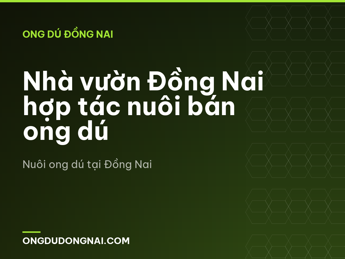 Nhà vườn Đồng Nai hợp tác nuôi bán ong dú