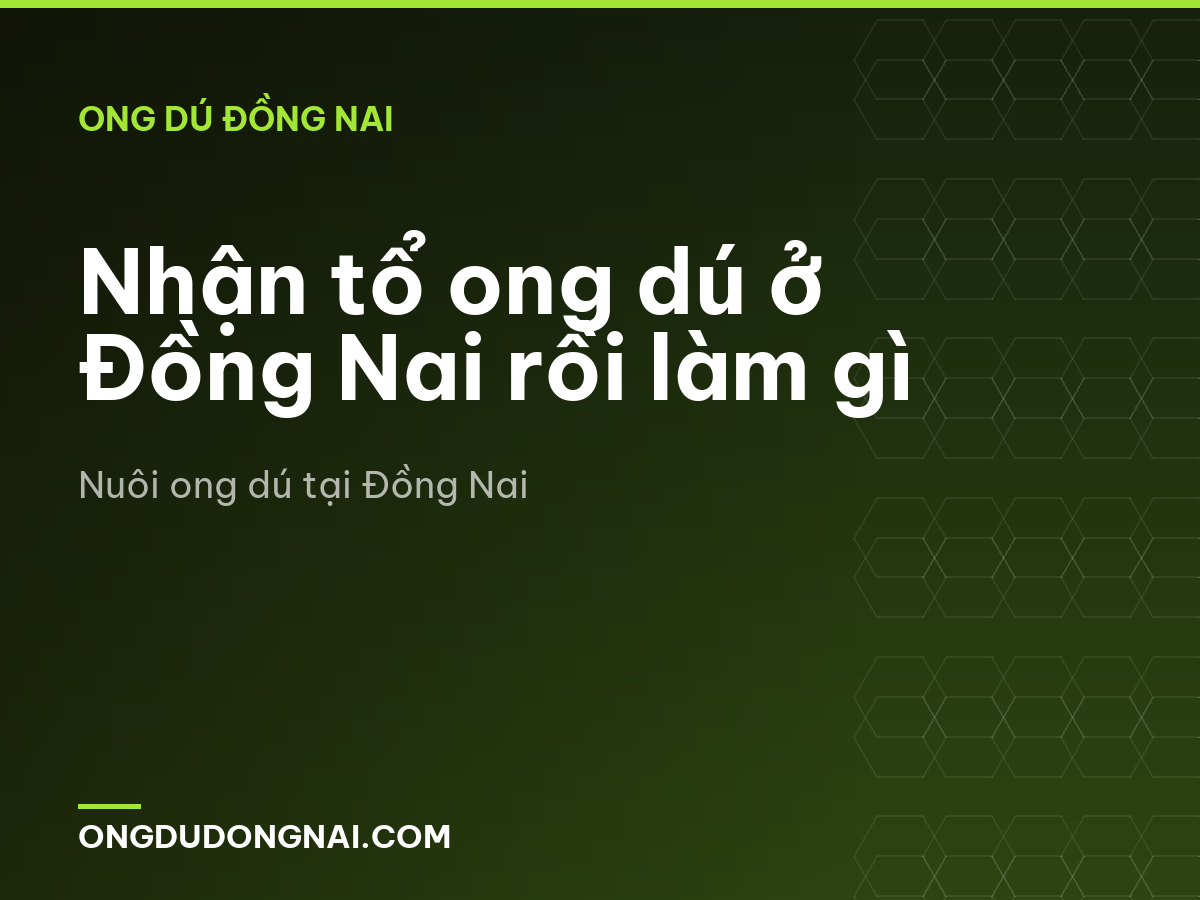 Nhận tổ ong dú ở Đồng Nai rồi làm gì