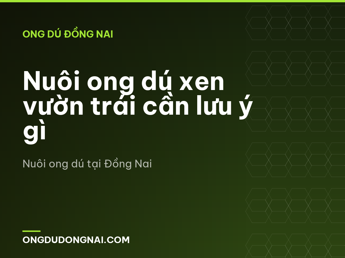 Nuôi ong dú xen vườn trái cần lưu ý gì