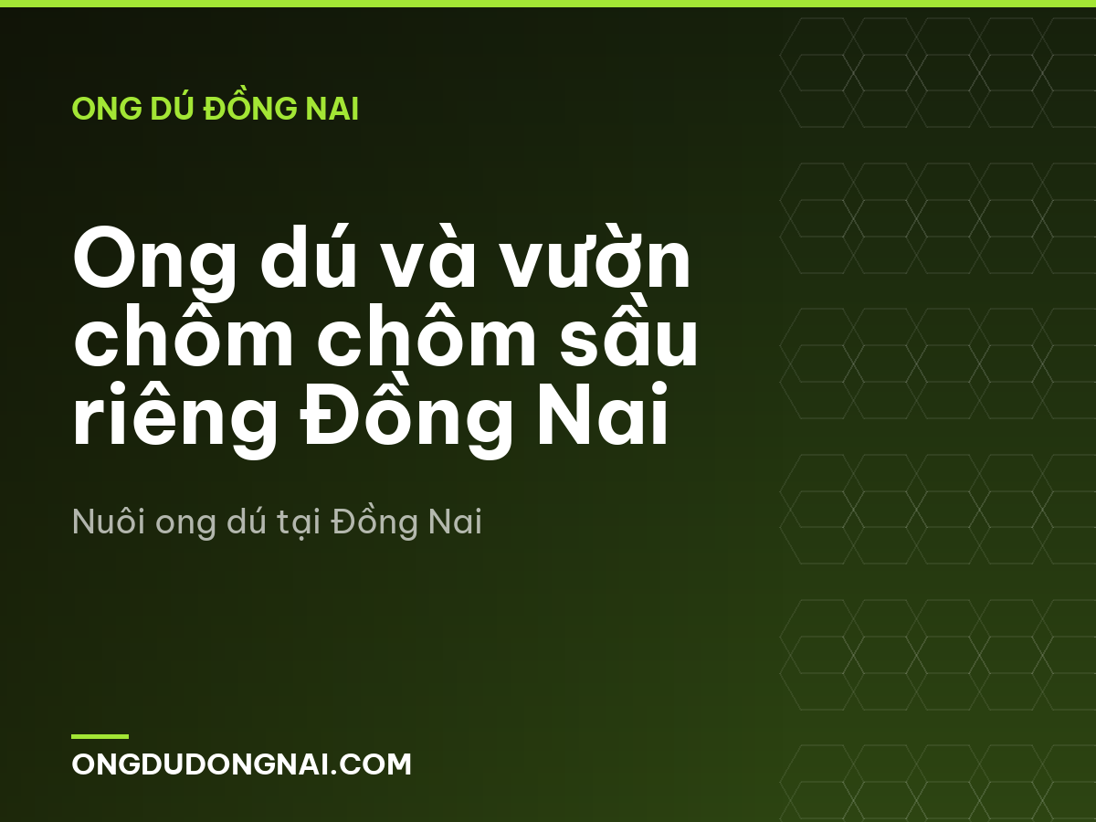 Ong dú và vườn chôm chôm sầu riêng Đồng Nai