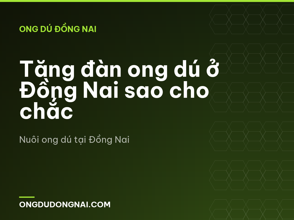 Tăng đàn ong dú ở Đồng Nai sao cho chắc