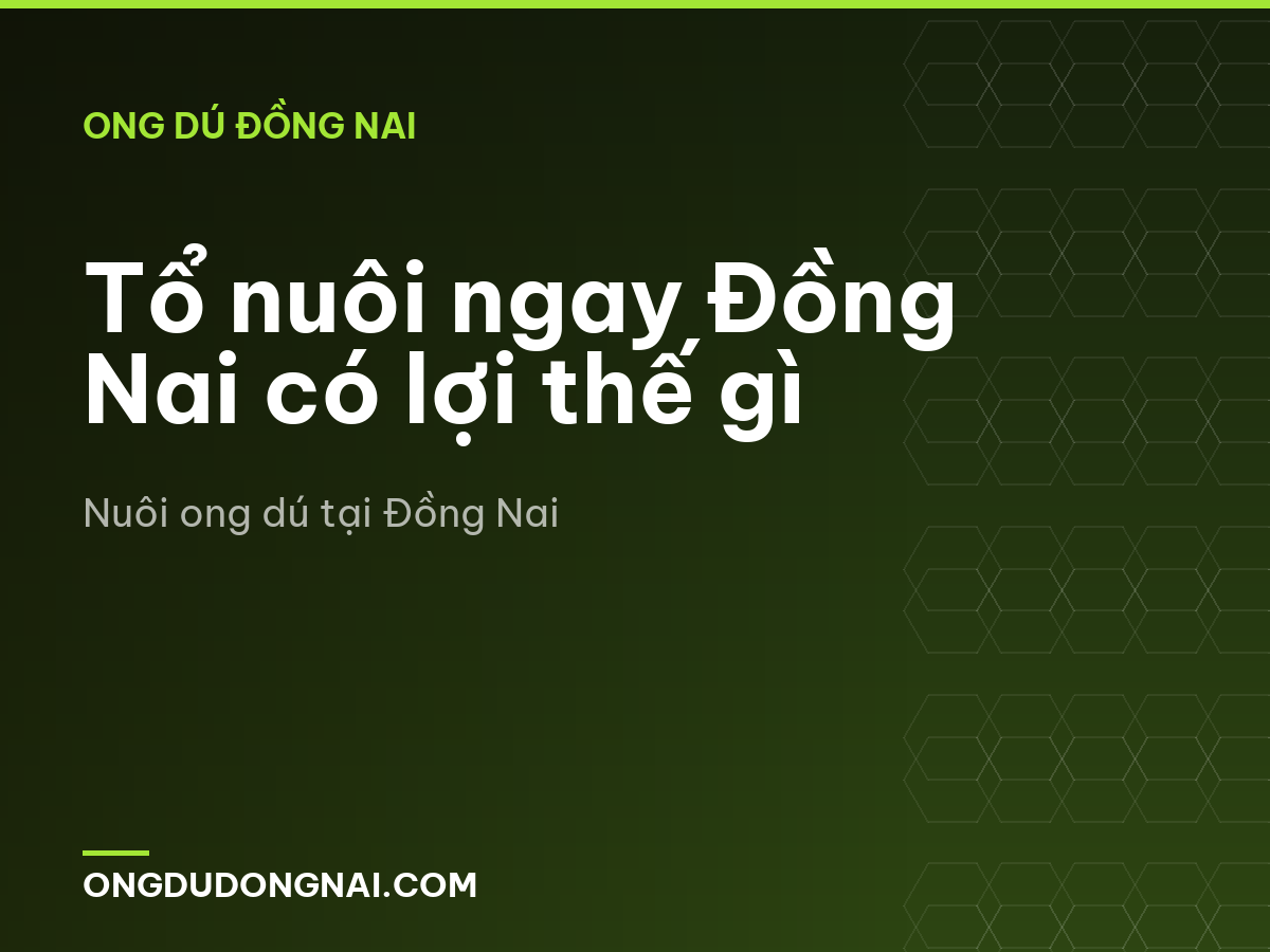 Tổ nuôi ngay Đồng Nai có lợi thế gì