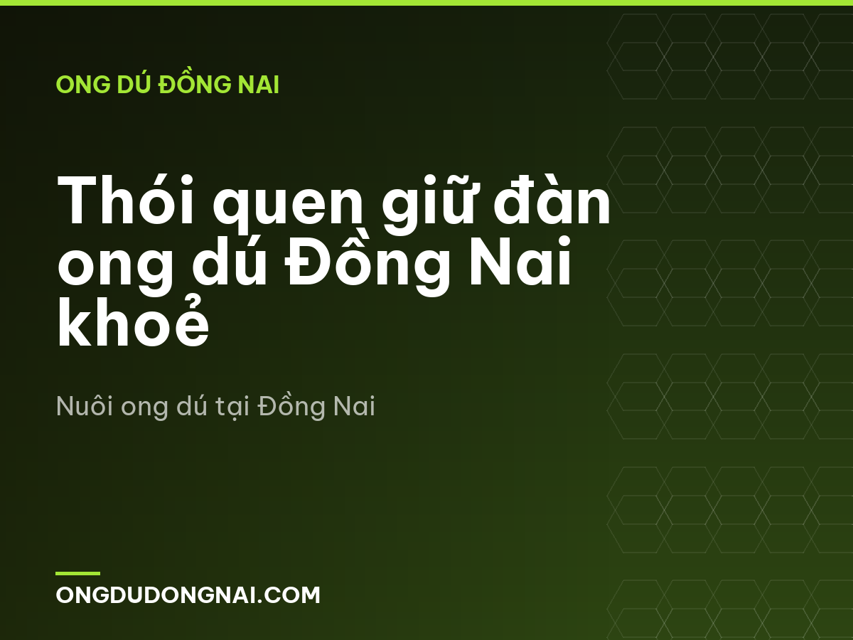 Thói quen giữ đàn ong dú Đồng Nai khoẻ