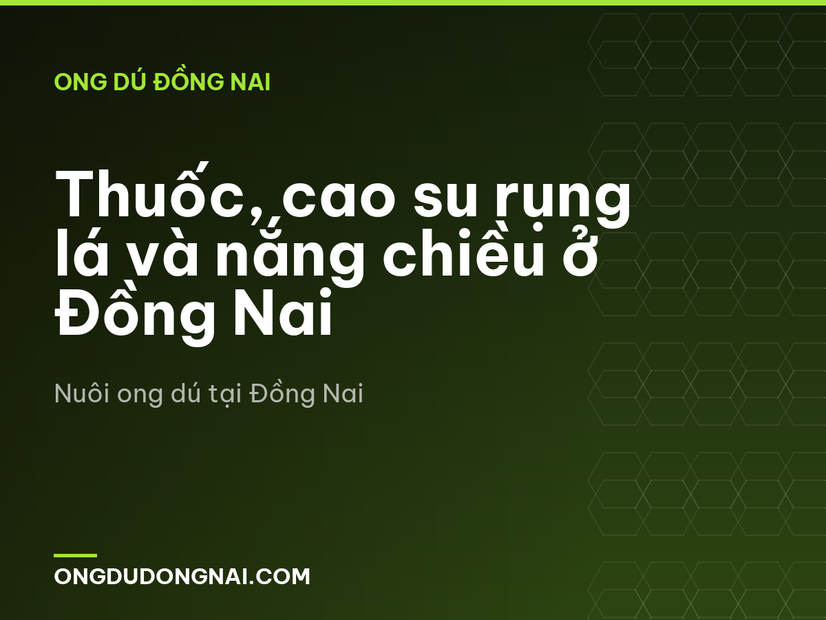 Thuốc, cao su rụng lá và nắng chiều ở Đồng Nai