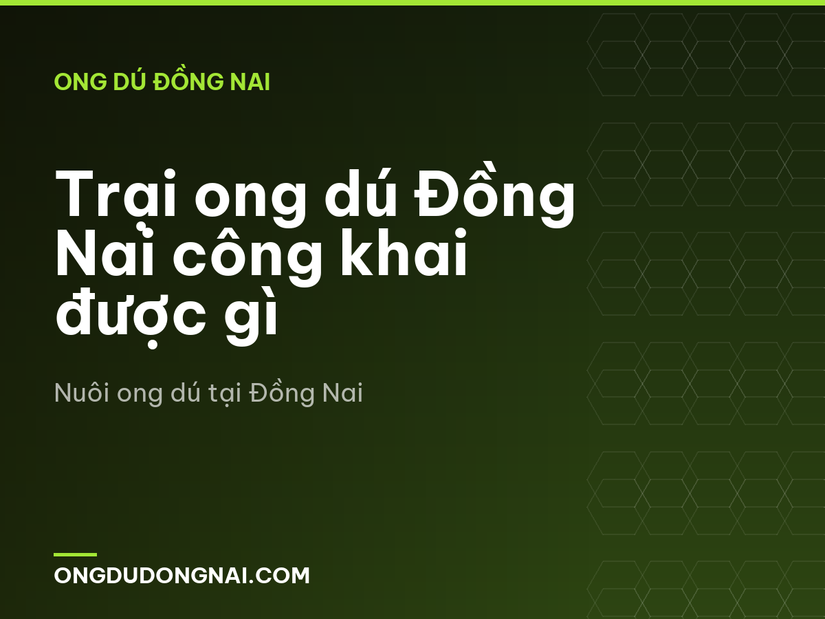Trại ong dú Đồng Nai công khai được gì