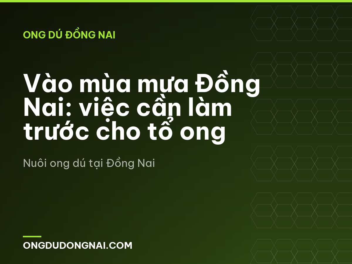 Vào mùa mưa Đồng Nai: việc cần làm trước cho tổ ong