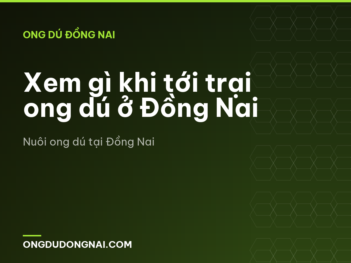 Xem gì khi tới trại ong dú ở Đồng Nai
